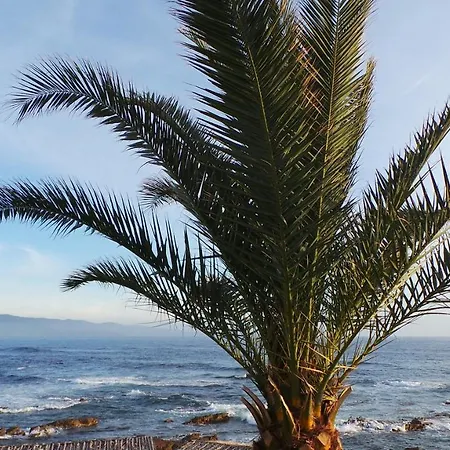 Διαμέρισμα T2 Imperial *