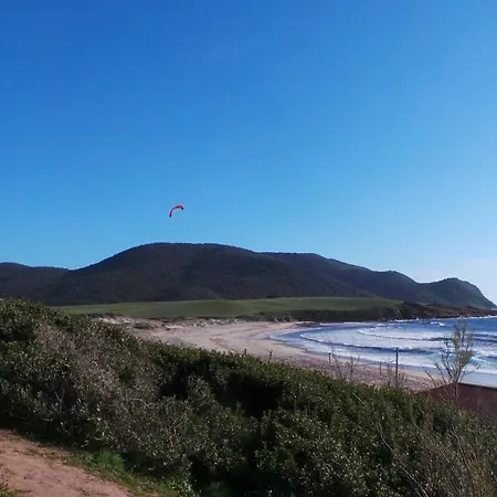 T2 Imperial * アジャクシオ