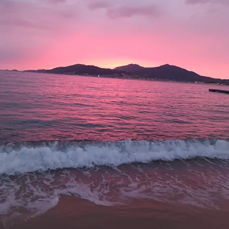 T2 Imperial アジャクシオ