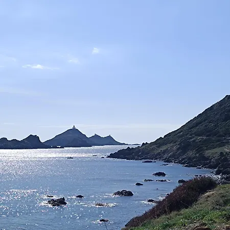 T2 Imperial * Ajaccio