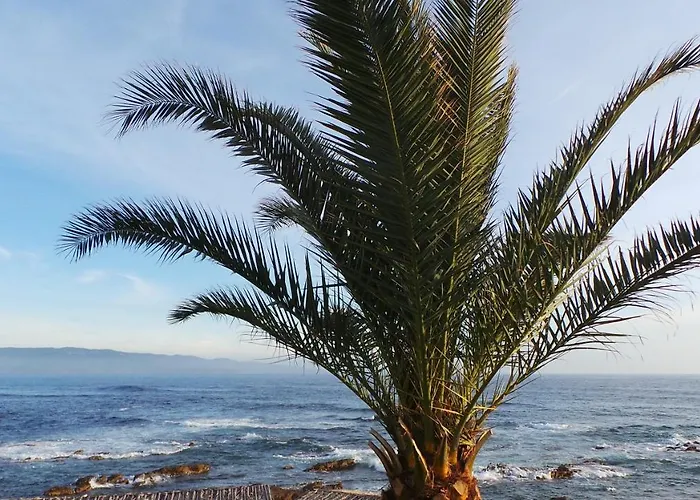 Lägenhet T2 Imperial *